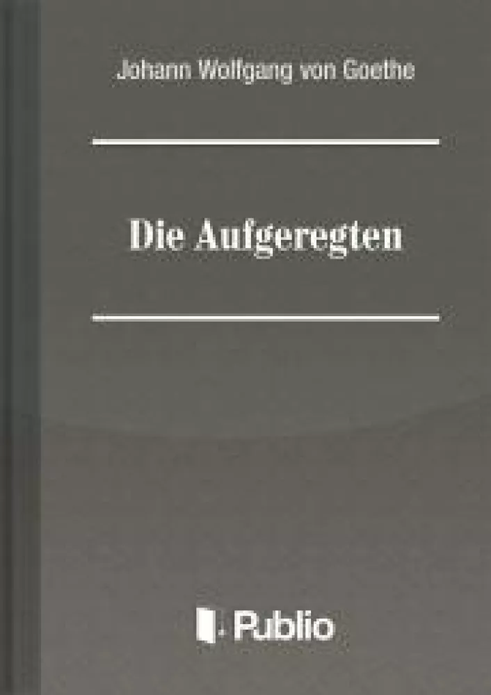 Die Aufgeregten borító