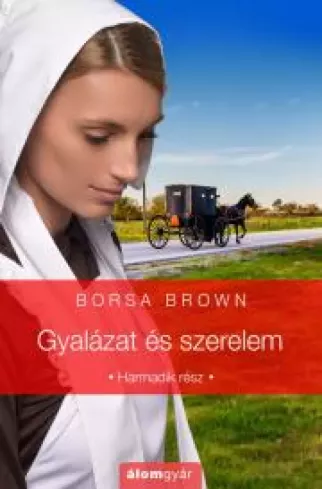 Gyalázat és szerelem borító