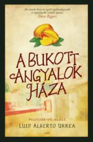 A bukott angyalok háza borító