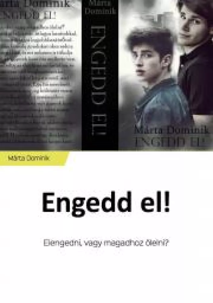 Engedd el! borító