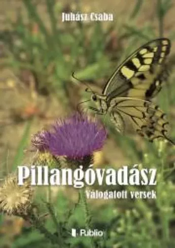 PILLANGÓVADÁSZ borító