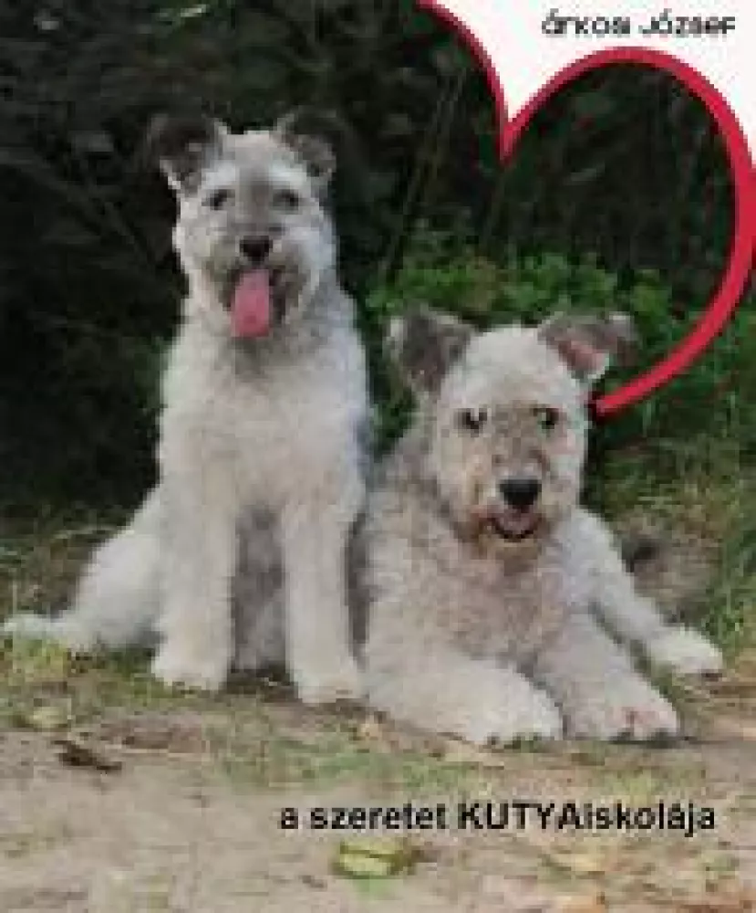 A szeretet KUTYAiskolája borító