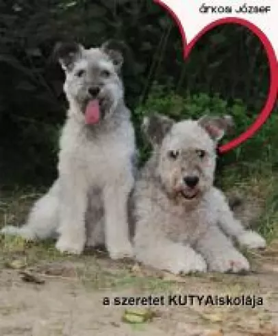 A szeretet KUTYAiskolája borító