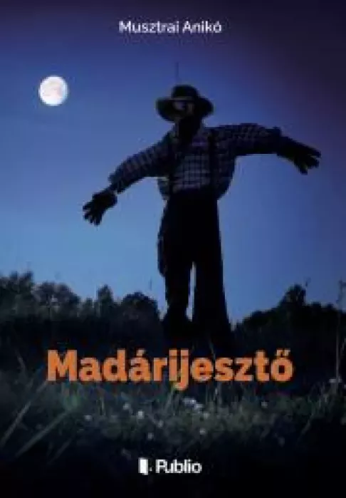 Madárijesztő borító