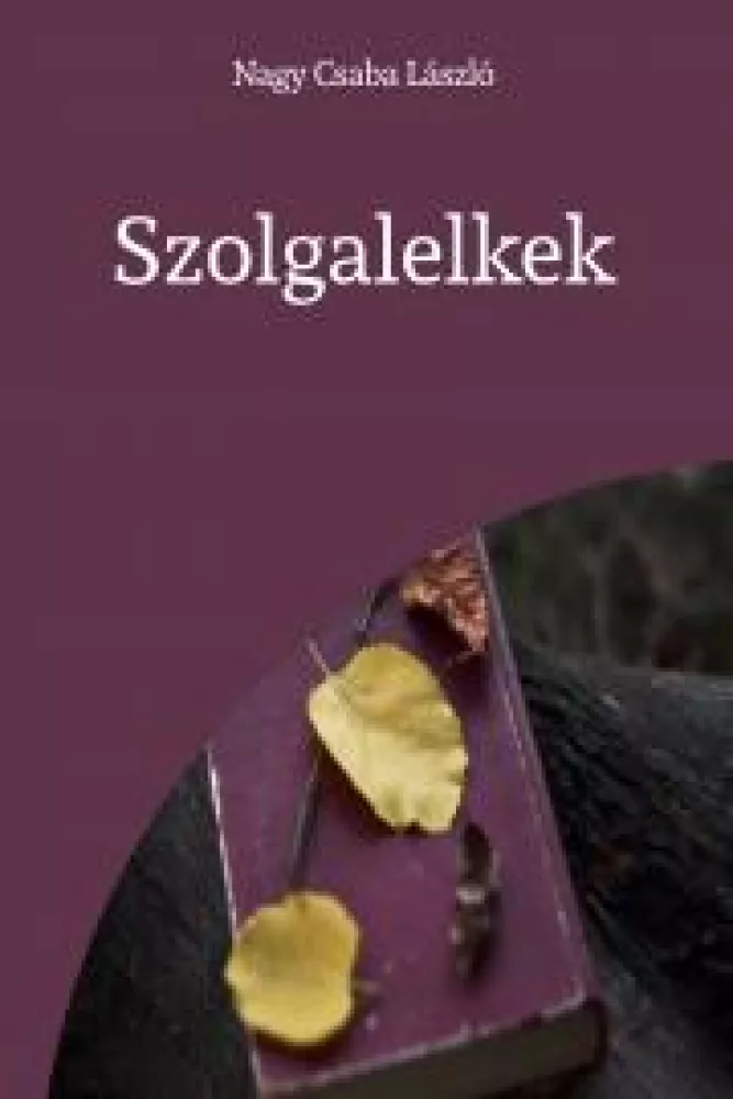 Szolgalelkek borító