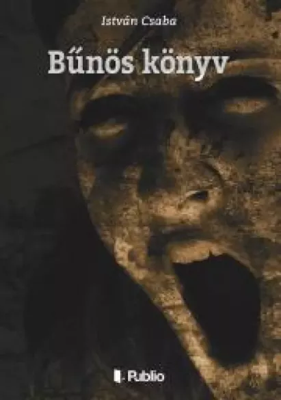 Bűnös könyv borító