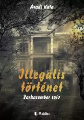 Illegális történet borító