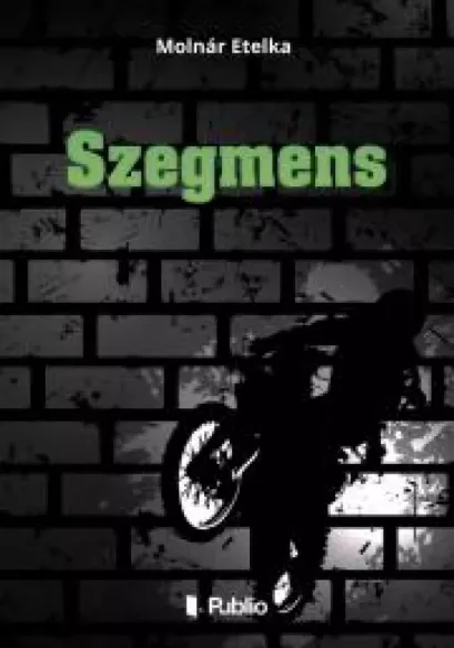 Szegmens
