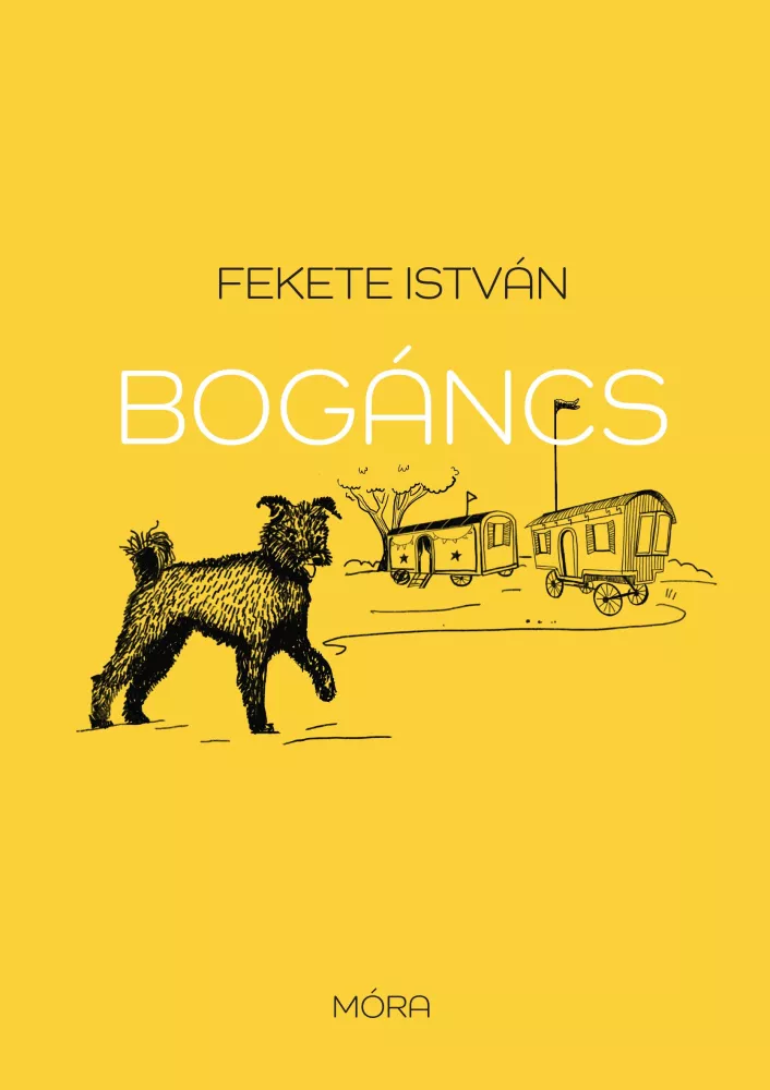 Bogáncs borító