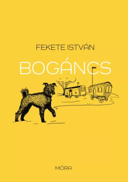 Bogáncs borító