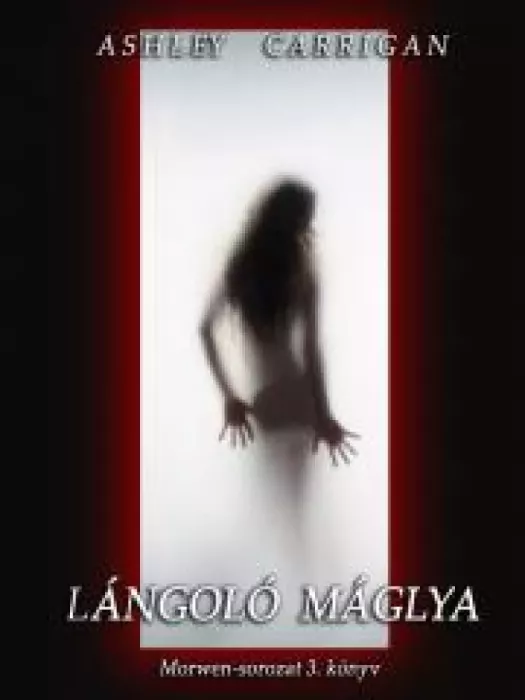 Lángoló máglya borító