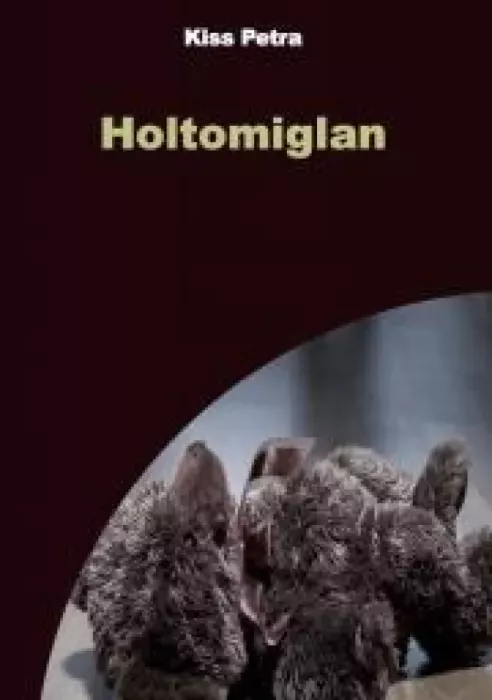 Holtomiglan borító