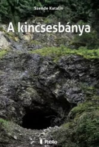 A kincsesbánya borító