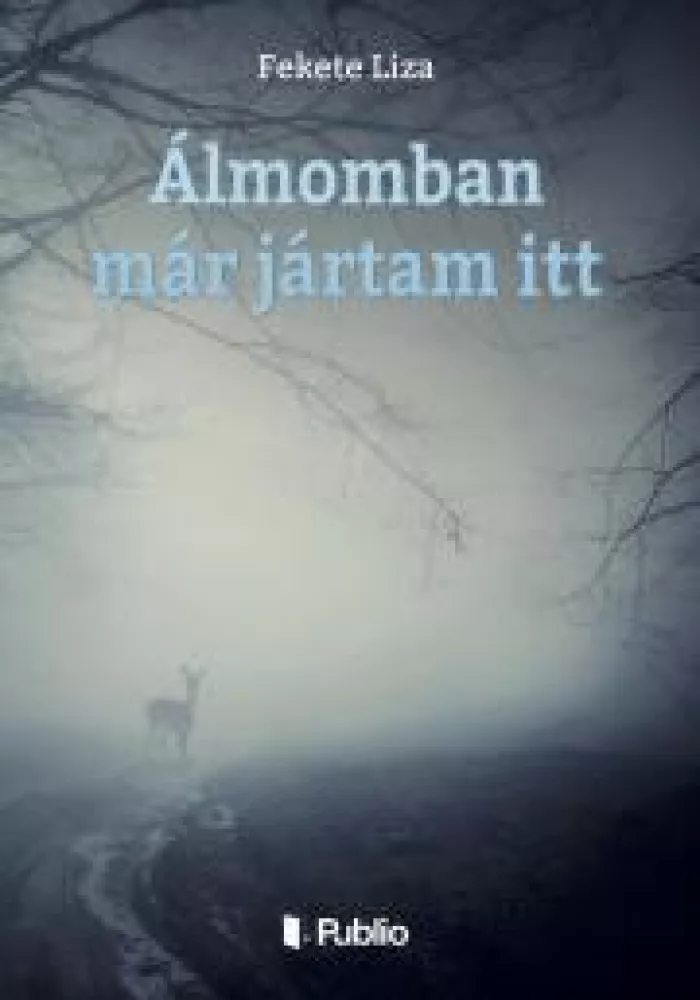 Álmomban már jártam itt borító