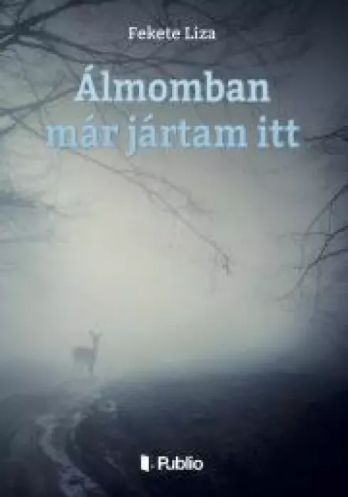 Álmomban már jártam itt borító