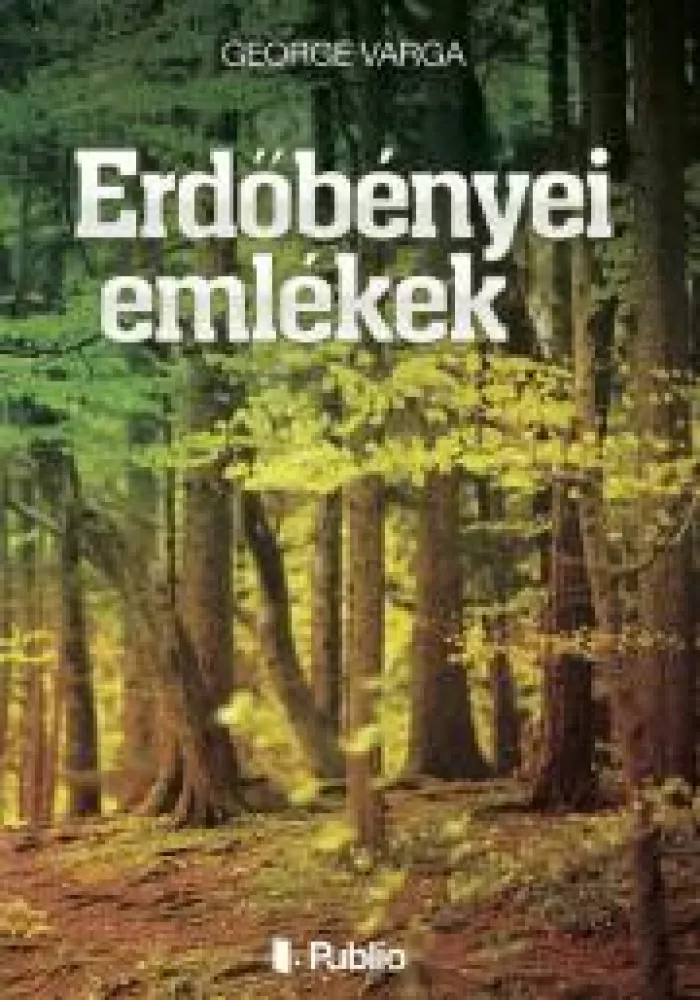 Erdőbényei emlékek borító