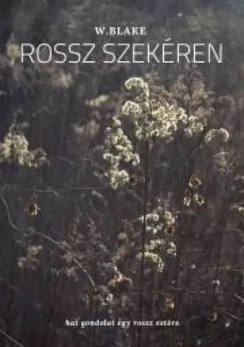 Rossz szekéren