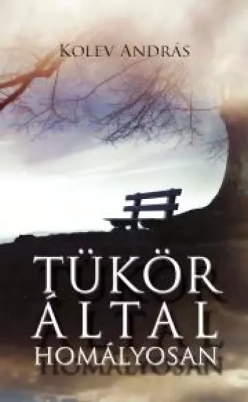 Tükör által homályosan