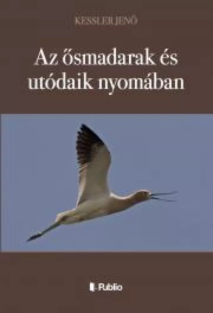 Az ősmadarak és utódaik nyomában borító