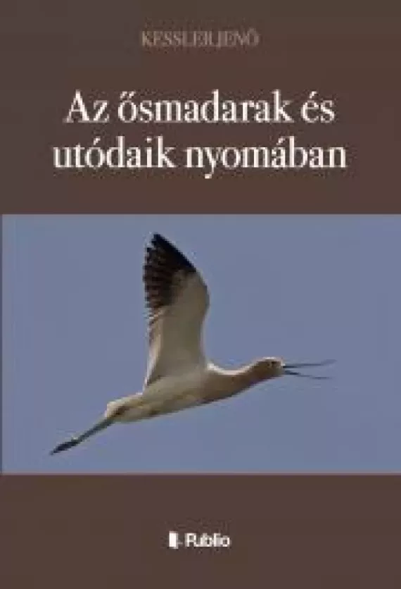 Az ősmadarak és utódaik nyomában borító