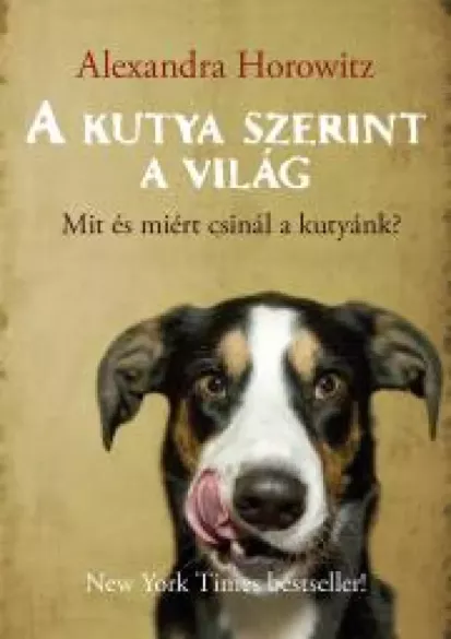 A kutya szerint a világ borító