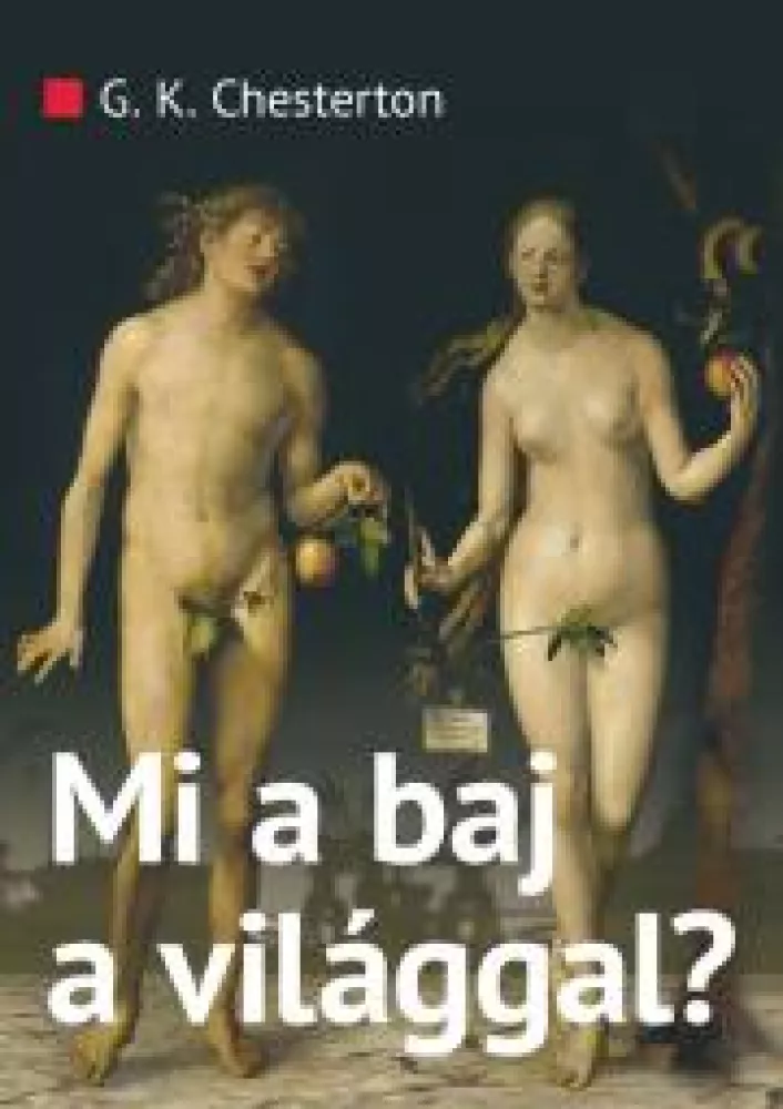 Mi a baj a világgal? borító