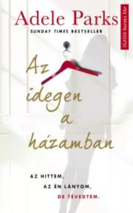 Az idegen a házamban borító