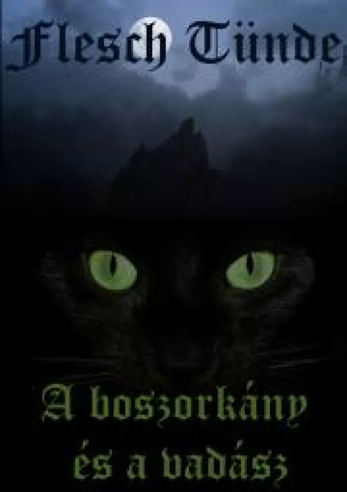 A boszorkány és a vadász borító