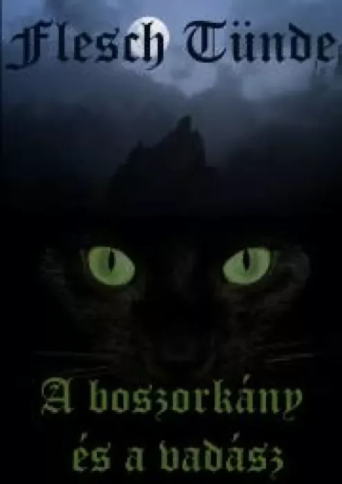 A boszorkány és a vadász borító