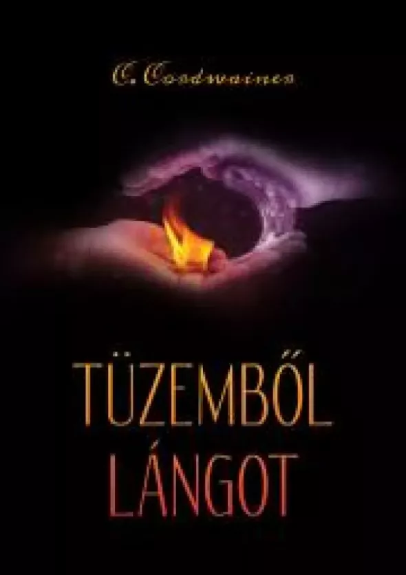 Tüzemből lángot