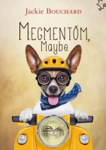 Megmentőm Maybe borító