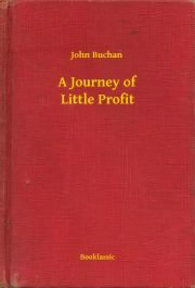 A Journey of Little Profit borító