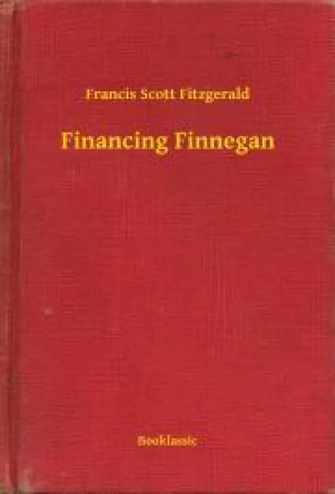 Financing Finnegan borító
