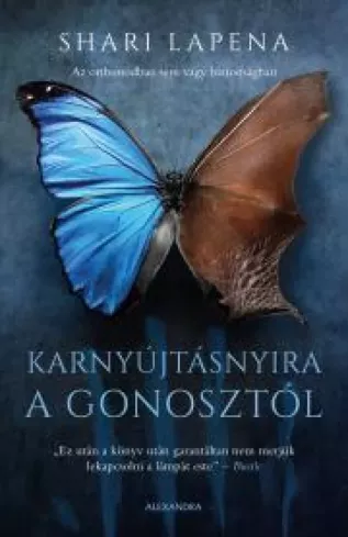 Karnyújtásnyira a gonosztól borító