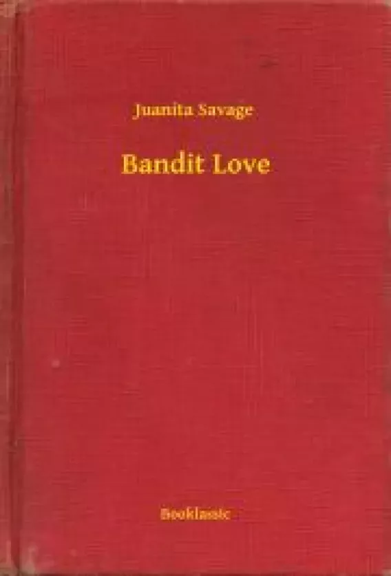 Bandit Love borító