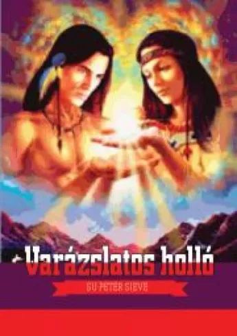 A varázslatos holló borító