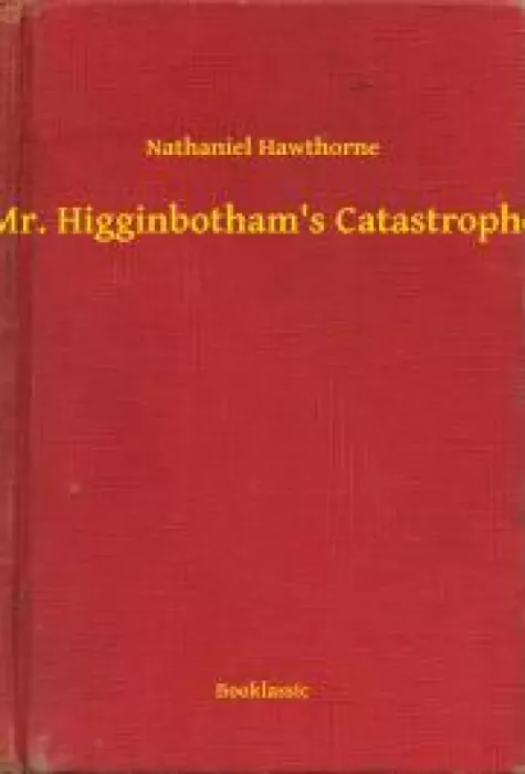 Mr. Higginbotham's Catastrophe borító