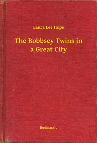 The Bobbsey Twins in a Great City borító