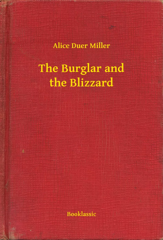 The Burglar and the Blizzard borító