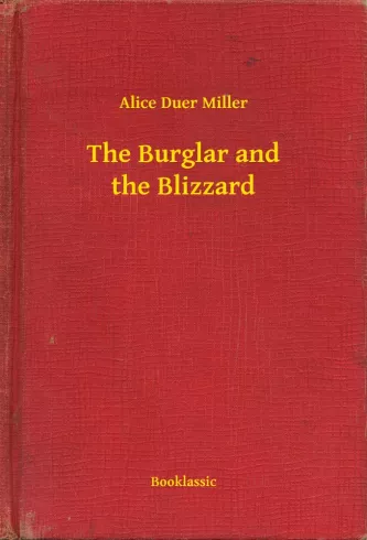 The Burglar and the Blizzard borító