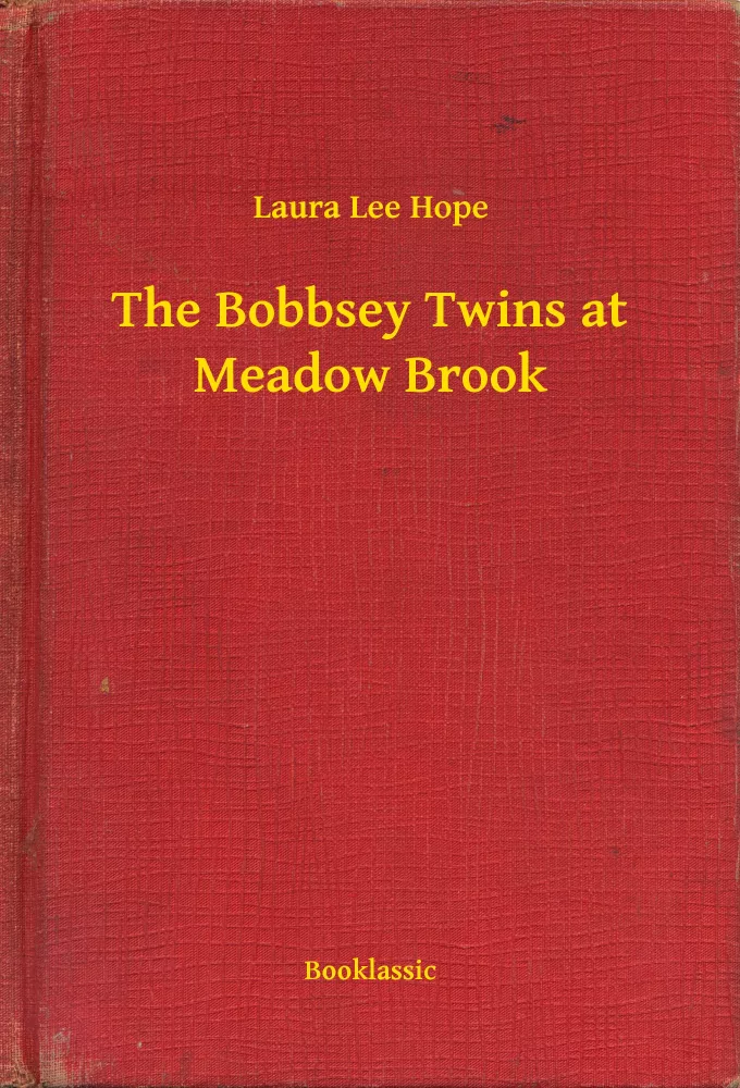 The Bobbsey Twins at Meadow Brook borító
