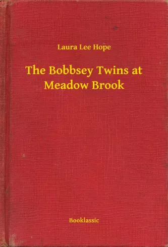 The Bobbsey Twins at Meadow Brook borító