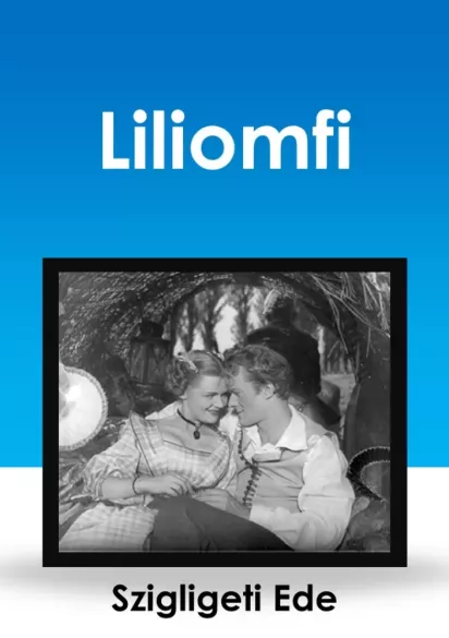 Liliomfi borító