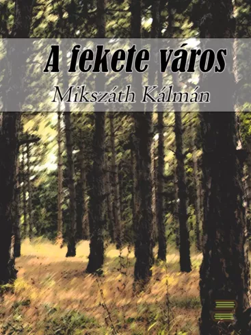 A fekete város borító