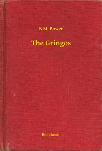 The Gringos borító