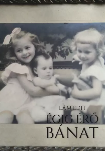 Égig érő bánat borító