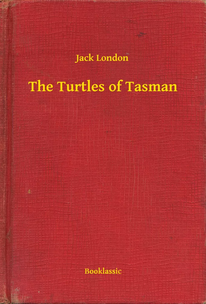 The Turtles of Tasman borító