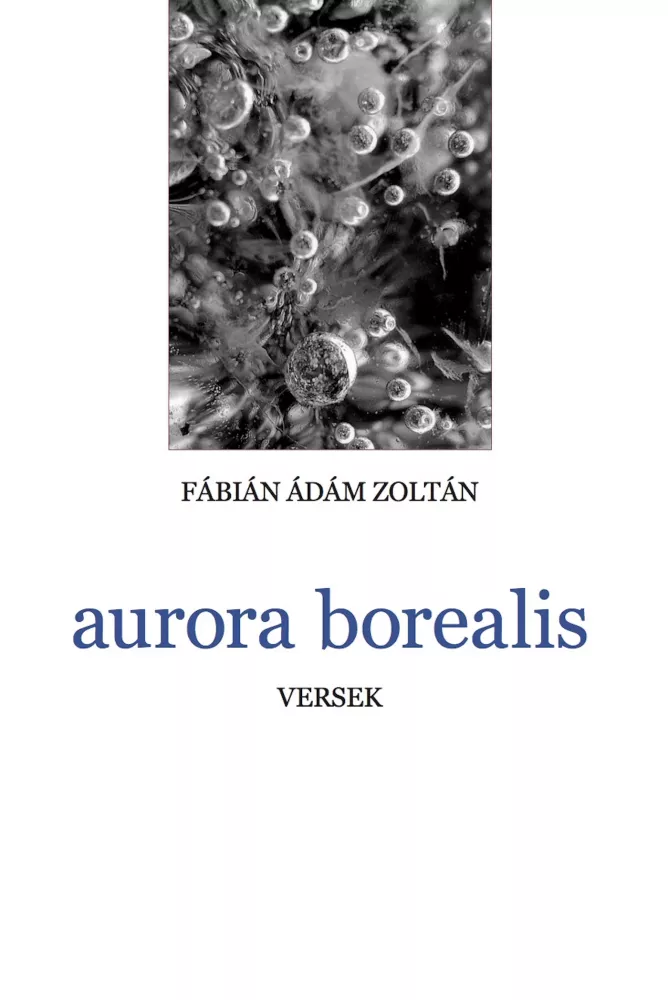 aurora borealis borító