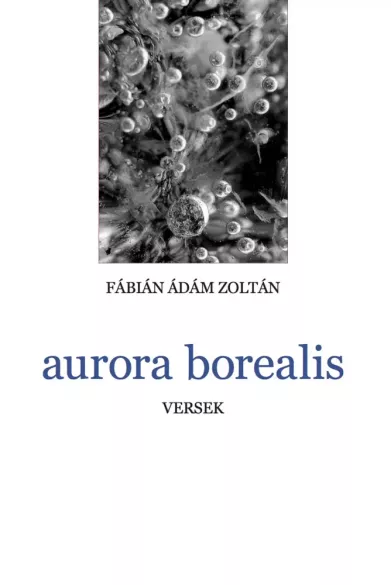 aurora borealis borító