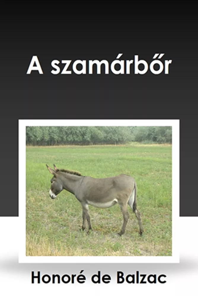 A szamárbőr borító